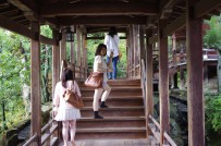 京都で建築めぐり